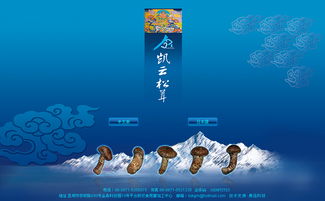 凱云科工貿與奧遠科技 以技術驅動，賦能昆明與云南的數字化轉型